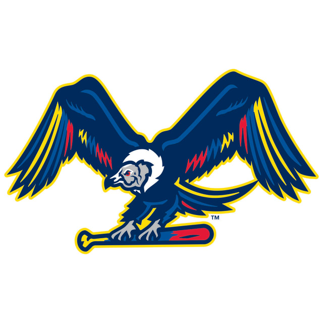 Cóndores de Binghamton
