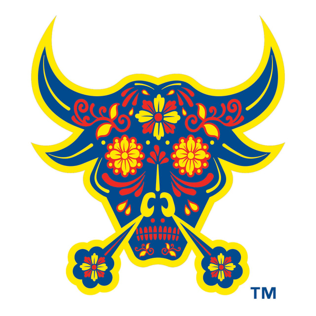 Toros Bravos de Durham