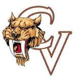 Castle View Sabercats