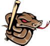 North Texas Copperheads