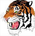 Bluffton Tigers