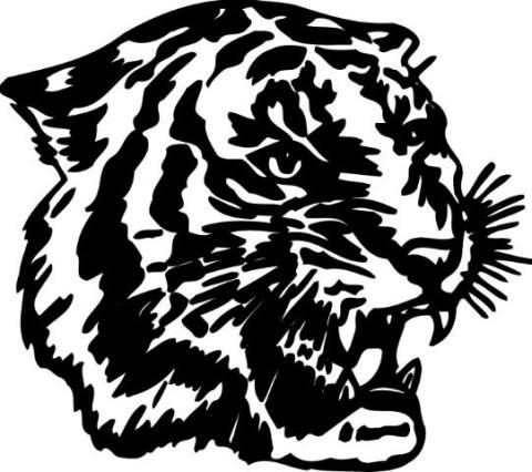 Princeton Tigers