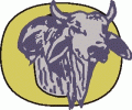 Okeechobee Brahmans