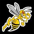 Gary Wallace Hornets