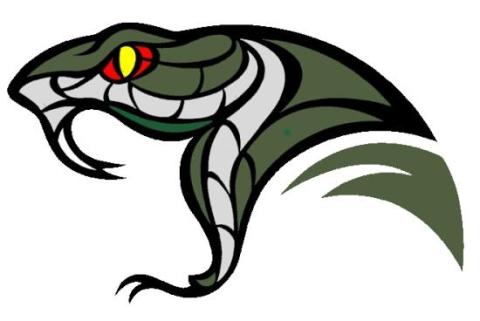 Varela Vipers