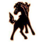 Schuylerville Black Horses