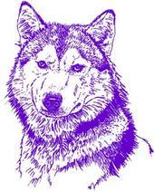 Lathrop Malamutes