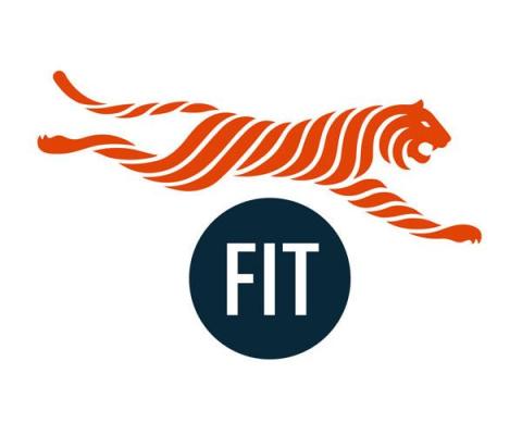 Fashion Institute of Technology Tigers