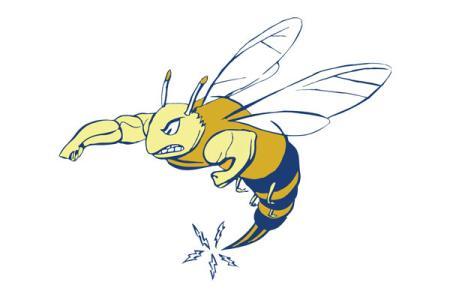 Emory & Henry College Wasps