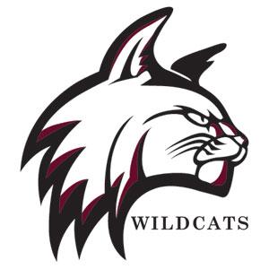 Bay Path University Wildcats