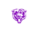 Anderson Grizzlies