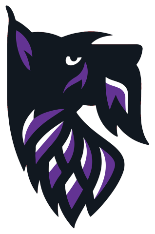 Agnes Scott College Scotties