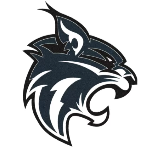 Bainbridge-Guilford Bobcats