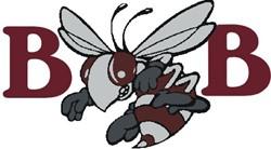 Byron-Bergen Bees