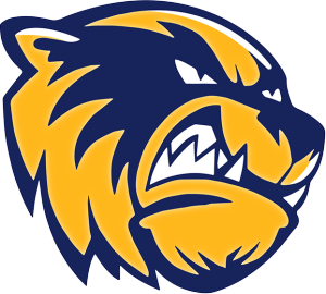 Bellevue Wolverines