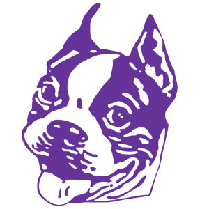 Bellows Falls Union Terriers
