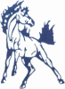 Heartland Christian Mustangs