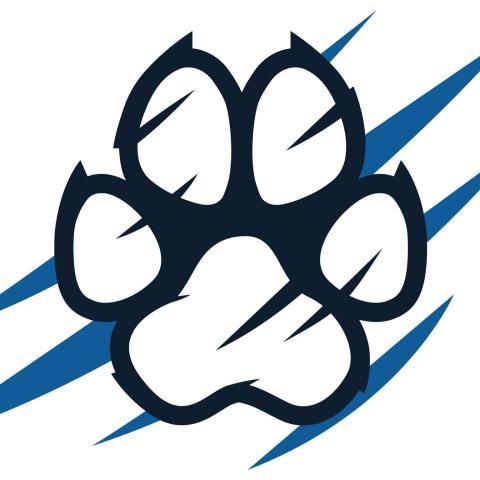 Bryant & Stratton College-Buffalo Bobcats