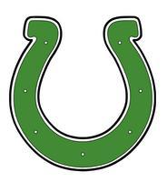 Burnsville Mustangs