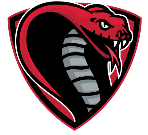 Canton Cobras