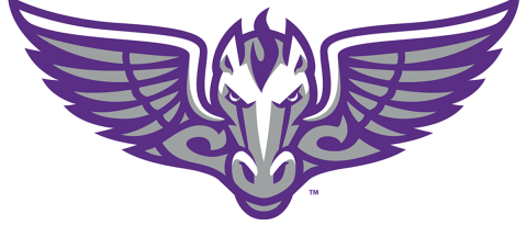 Cesar Chavez Champions