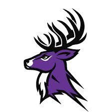 Clarkton Reindeer