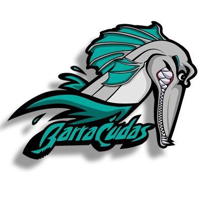 Coral Reef Barracudas