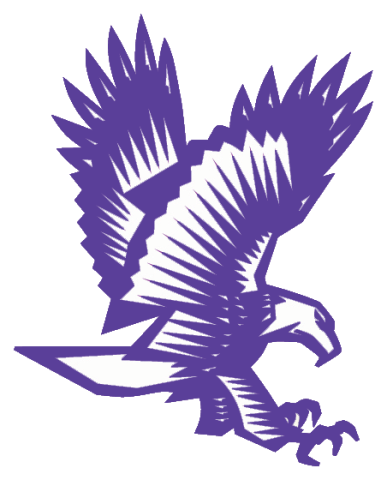 Downsville Central Eagles