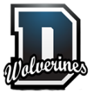 Dillingham Wolverines