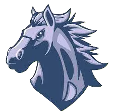 Dobson Mustangs