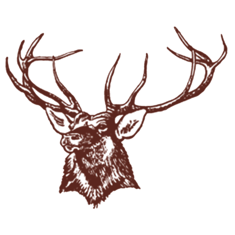 Elk City Elkettes
