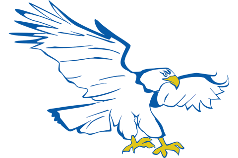 Faith Christian Eagles