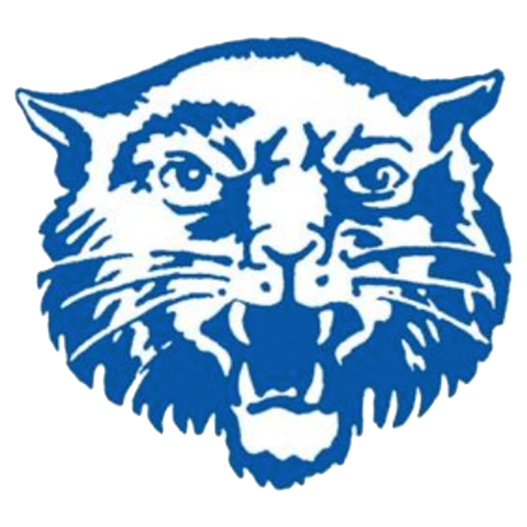 Hancock Wildcats