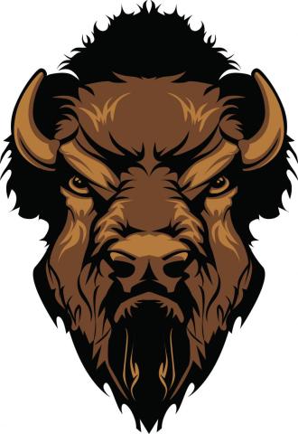 Hugo Buffaloes