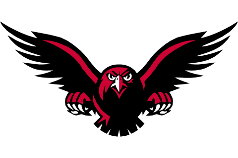 Lee Christian Falcons