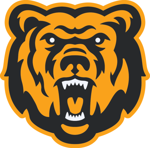 Leroy Bears