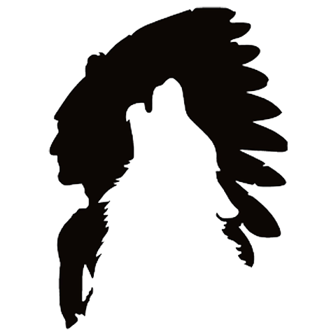 Lone Wolf Coyotes