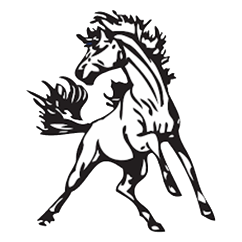 Manila Mustangs