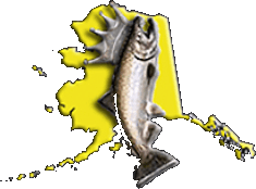 Pilot Station King Salmon