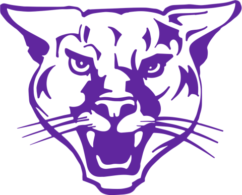 Pine Valley Central Panthers