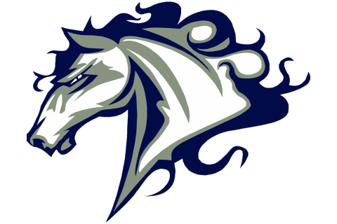 Queen's Grant Stallions