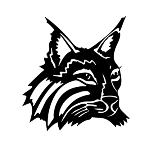 River Homelink Lynx