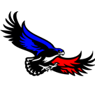 Sanborn Central/Woonsocket Blackhawks