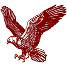 South Heart Eagles