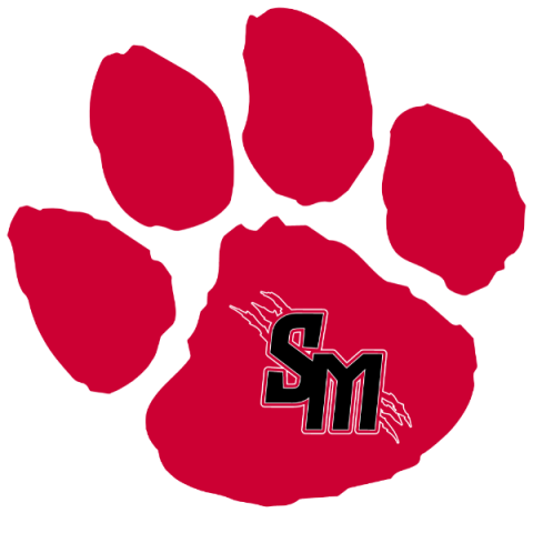 South Mecklenburg Sabres