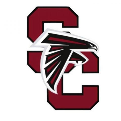 South Central Falcons