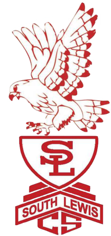 South Lewis Falcons