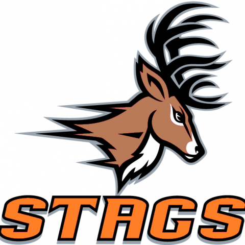 Hartsburg-Emden Stags