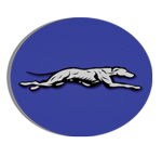 Statesville Greyhounds
