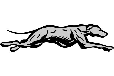 Statesville Greyhounds